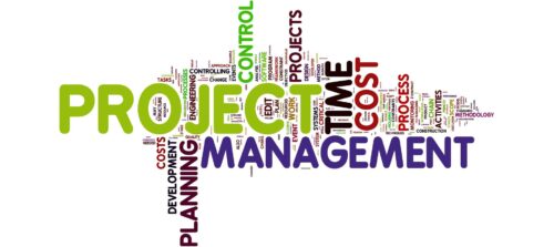 website project management