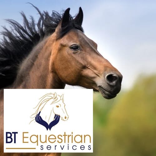 BT Equestrian Services