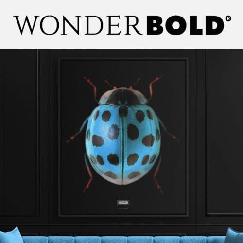 Wonderbold