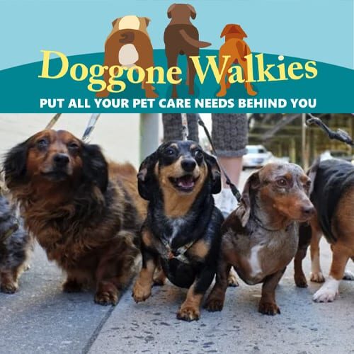 Doggone Walkies