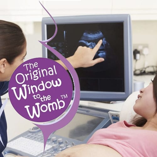 Original Window to the Womb