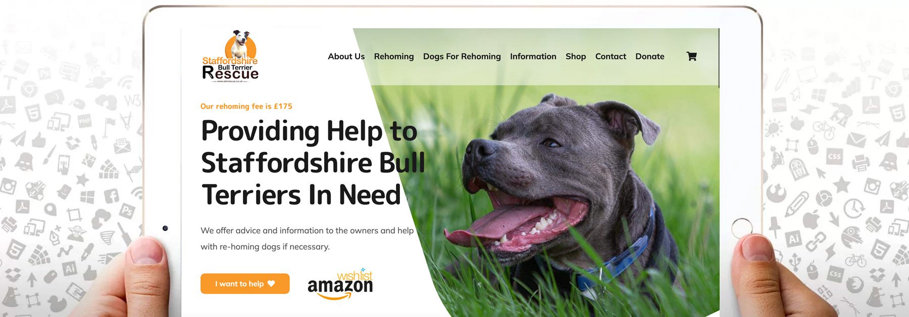 staffy bull terrior dog charity