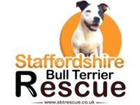 logo sbt rescue charity