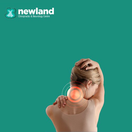 newland chiropractic website
